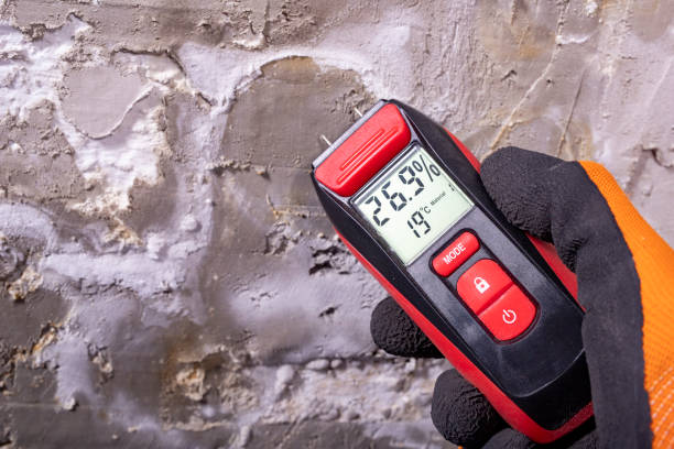 Best Mold Removal Near Me  in Gridley, CA